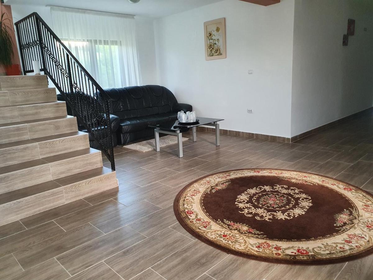Pensiunea Ronicson Milostea Buitenkant foto