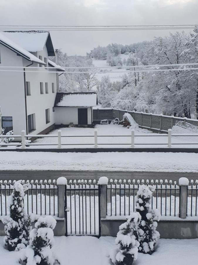 Pensiunea Ronicson Milostea Buitenkant foto